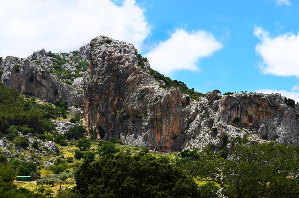 Villanueva del Rosario Cortijo Sabila 게스트하우스 외부 사진